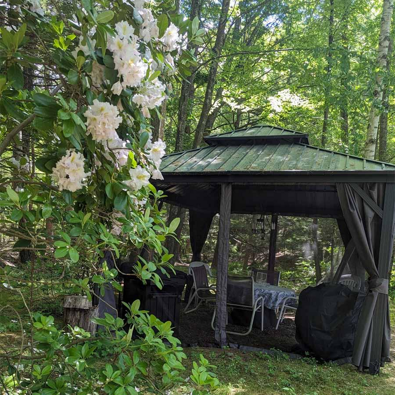 PURPLE LEAF Graues Hardtop-Pavillon mit strapazierfähigem verzinktem Stahl-Dach in Doppeldach-Ausführung mit Netz und Vorhängen